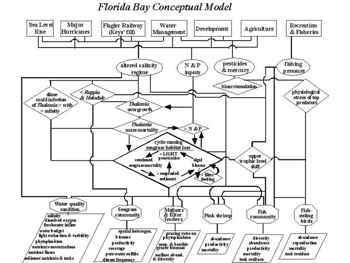 Figure 2. Florida Bay Risk Assessment Conceptual Model