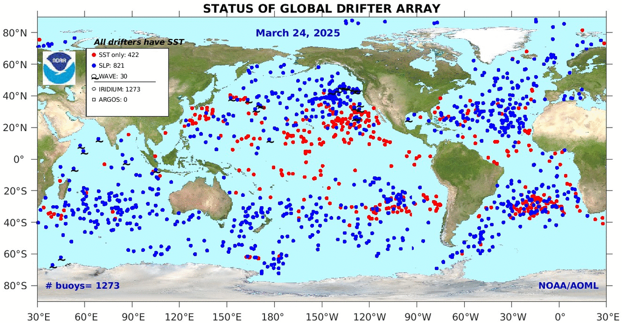 Surface drifter set. (A) Trajectories of 30 drifters released in the