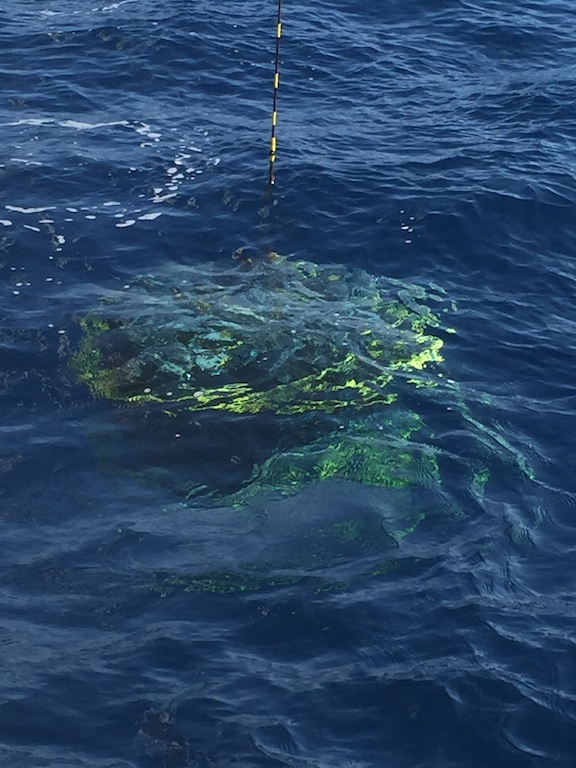 CTD under sparkling clear blue water. Image credit: NOAA
