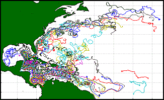Map of drifter trajectories in the North Atlantic Map of drifter trajectories in the North Atlantic