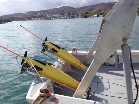  Two gliders ready for deployment from the R/V Sultana, off the coast of Puerto Rico, July 2014.