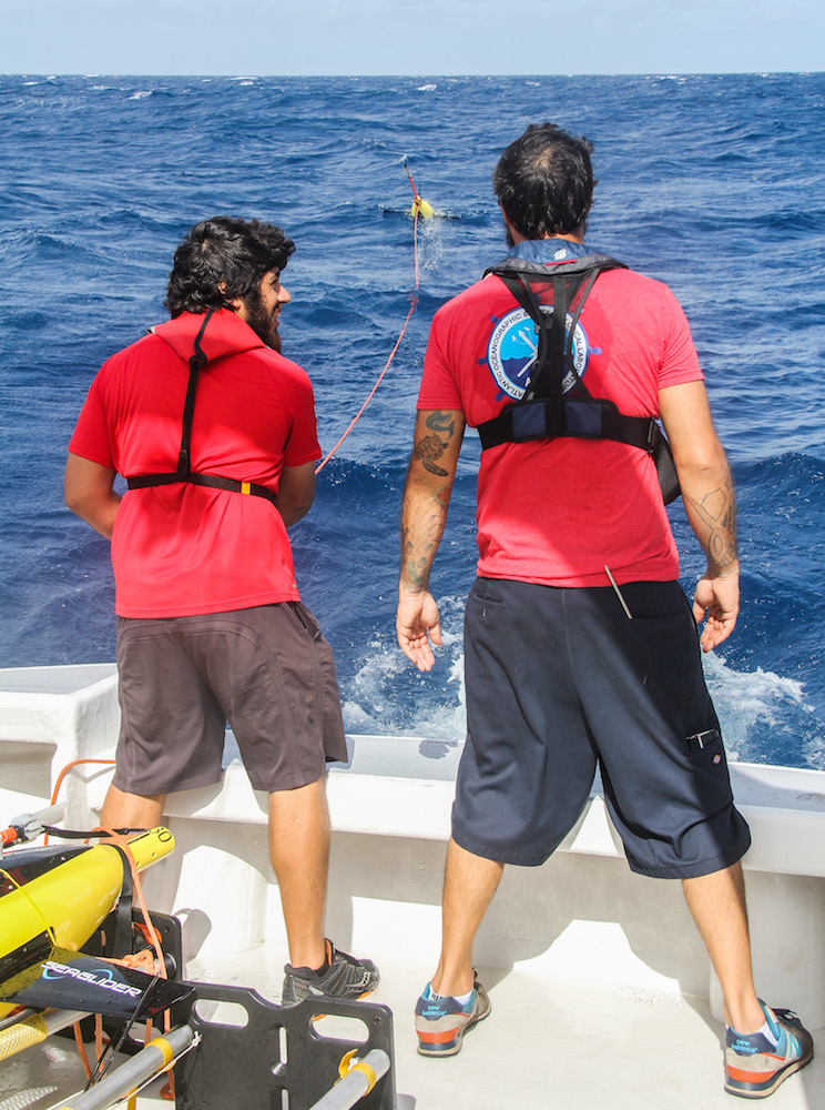 Scientists look on as the underwater glider is sent into the ocean. Image credit: NOAA