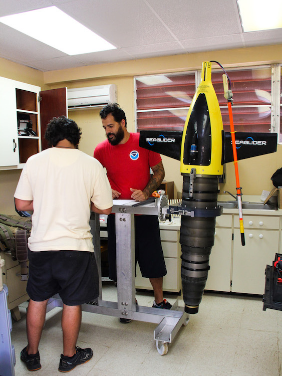 Scientists look over plans for deployment of the underwater gliders. Image credit: NOAA