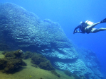 Diver examines a coral reef structure (Porites rus) off the coast of Maug. Image credit: NOAA