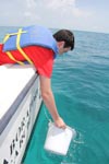 An AOML intern scoops up a water sample on Ocean Sampling Day 2014 in the Florida Keys. Image credit: NOAA