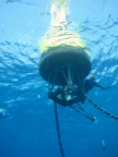 Underwater view of Little Cayman CREWS Station. Image credit: NOAA