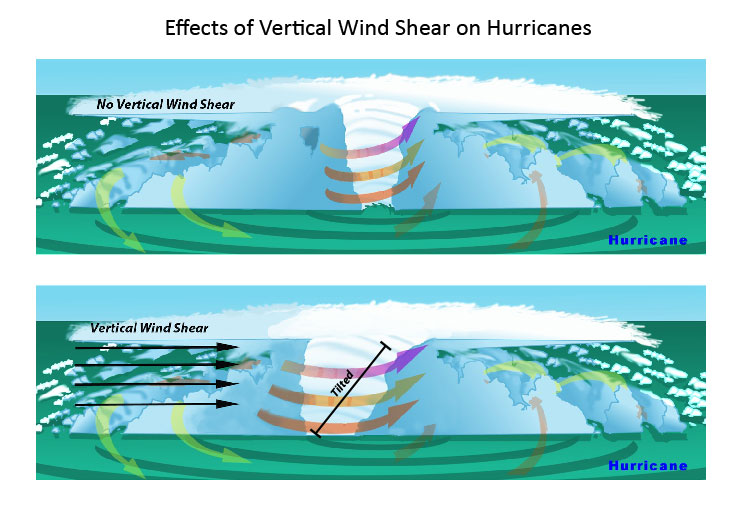 Effects of vertical wind shear