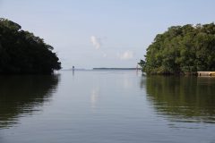 Fieldwork photo of a channel between two mangrove banks taken by one of our scientists during a Juvenille Sportfish Survey in the Florida Bay. Calm waters, channel markers and a blue sky are indicative of a typical on-the-water scene from the area. Photo Credit, NOAA.
