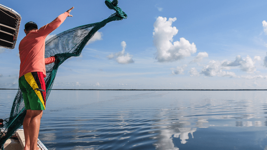 scientist casting green net over still water from the keel of a boat in the Florida Bay for the Juvenile Sportfish Research Project.