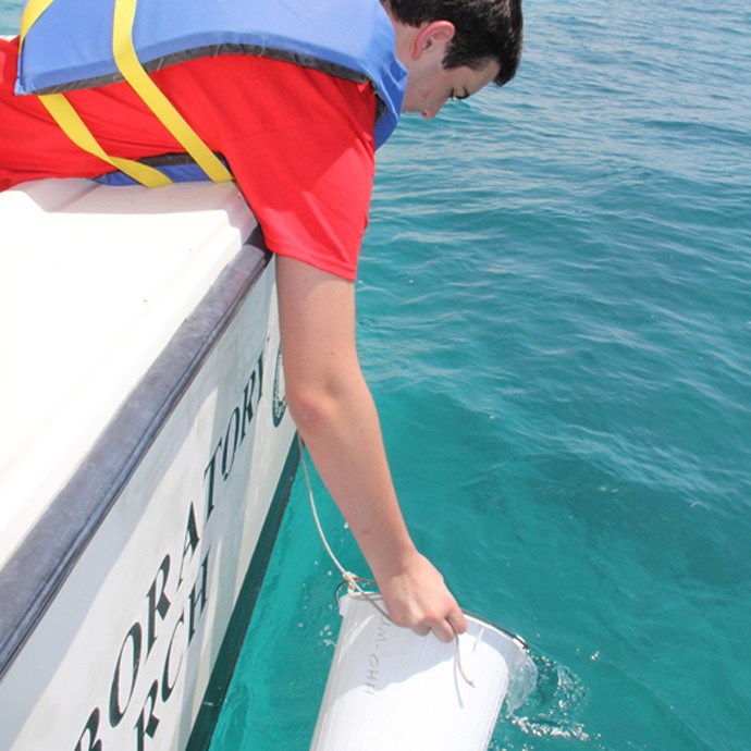 An AOML intern scoops up a water sample on Ocean Sampling Day 2014 in the Florida Keys. Image credit: NOAA
