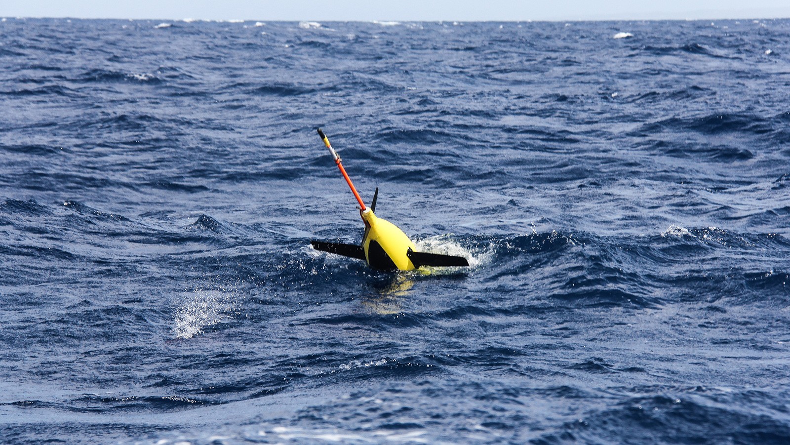 Underwater glider mission takes off in the waters of Puerto Rico. Image credit: NOAA