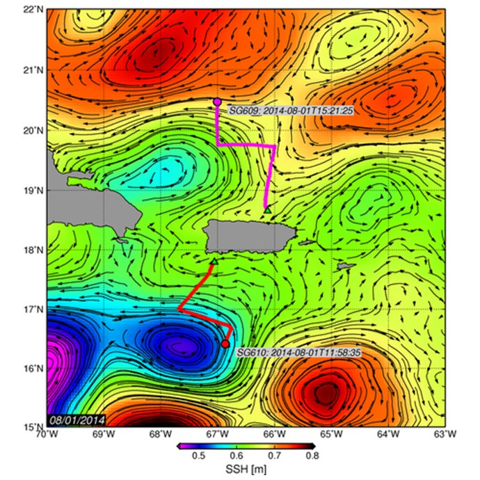 Corrientes geostróficas de superficie derivadas de la altimetría (NOAA/AOML). El color de fondo es la altura dinámica. Crédito de la imagen: NOAA AOML.