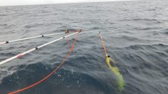 Underwater glider being recovered in the Caribbean Sea. Image Credit: NOAA