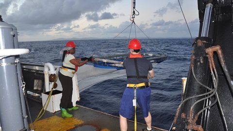 The crew recovering the S10 net off the back of the Nancy Foster. Image credit: NOAA