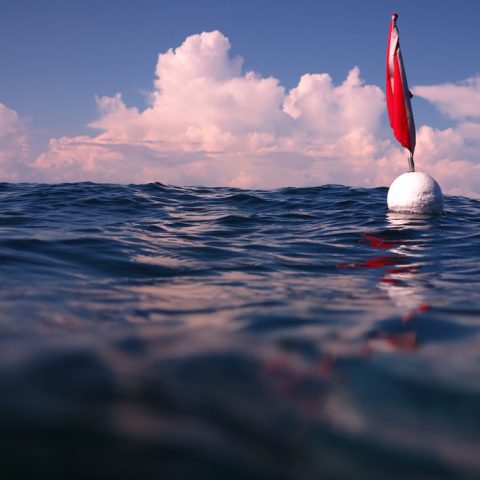 Dive flag on the surface at Cheeca Rocks. Image credit: NOAA
