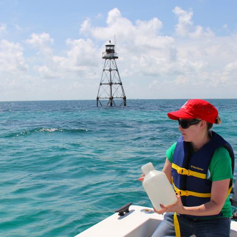 An AOML intern bottles a sample at Tennessee Reef in the Florida Keys National Marine Sanctuary. Image credit: NOAA