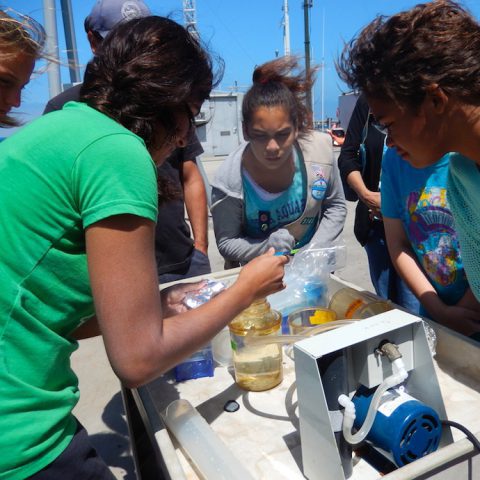A troop of girl scouts collect a water sample at a NOAA Ocean Sampling Day site in La Jolla, CA. Image credit: NOAA