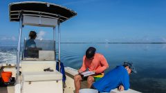 Researchers logging data during the Juvenile sportfish survey. Photo Credit: NOAA AOML.