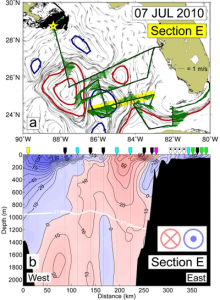 SADCP surface current vectors (green) are plotted with synoptic fields of altimetry-derived surface velocity (gray) for the highlighted Section E. The major cyclonic (blue lines) and anticyclonic (red lines) mesoscale circulation features are indicated. The location of the MC252 wellhead is marked with a yellow star, and an estimate of surface oil coverage for the same period (from NOAA/NESDIS) is shown in black (panel a). Current velocity structure, normal to the section, produced from continuous SADCP data (coverage to ~200 m) and discrete LADCP data (dotted vertical lines; coverage to 2000 m) is also presented (panel b). Labeled velocity contours (black lines) are shown in cm s-1. The single white density contour represents the 27.66 kg m-3 isopycnal. θ-S profile classifications are also shown for each CTD station along the section (colored pointers). Image Credit: NOAA AOML.