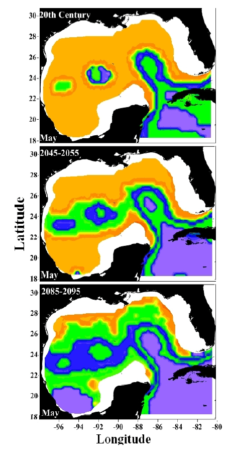 El IPCC proyectó cambios en el hábitat de desove del atún rojo en el Golfo de México debido al calentamiento global antropogénico para tres marcos temporales: arriba (finales del siglo XX), (mediados) a mediados del siglo XXI y (abajo) a finales del siglo XXI. Los colores indican el hábitat de desove preferido, con el amarillo/naranja para los lugares preferidos y el azul/púrpura para las regiones no ideales. La investigación de Liu y Lee indica que la zona de hábitat de desove del atún rojo podría no reducirse tan drásticamente como en los resultados del IPCC que se muestran en estas figuras. Crédito de la imagen: NOAA AOML.