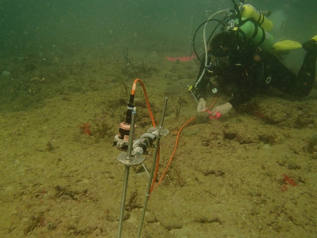 Diver on sandy bottom (brown) sets up wires and cables attached to a sensor with two metal clips keeping the senors staked into the seafloor