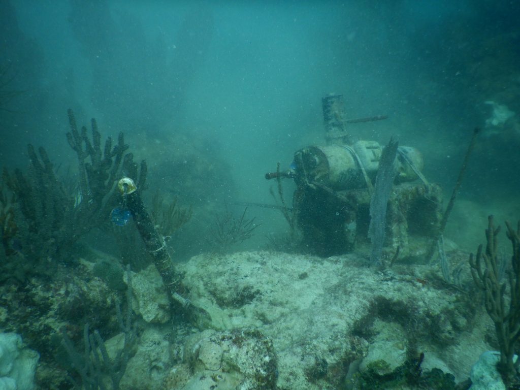 Scientific instruments sitting upon the seafloor, nestled between corals.