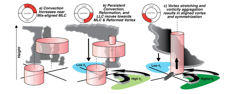 Schematic demonstrating the vortex-scale processes responsible for a rapid evolvement from misalignment to alignment. Panel (A) shows the low-level center (LLC) displaced from the mid-level vortex with convection increasing near the MLC (indicated by the clouds). The increasing convection near the MLC occurs during the overnight to early morning hours of 11 p.m. to 3 a.m. (upper left), which also aligns with the diurnal maximum in TC convection (Ditchek, Molinari, et al., 2019; Dunion et al., 2014). At 3–6 a.m. local time (panel B), the boundaries between lower θE air from downdrafts (light blue shading) and warm, unstable air (higher θE air, light green shading) collide and initiate more intense, persistent convection. A new, compact low-mid level vorticity core forms near the convection and induces a low-level confluent inflow that brings more warm, moist air (light green shading) toward the new center fueling additional convection. The LLC rapidly migrates towards the reformed core during this time period.
