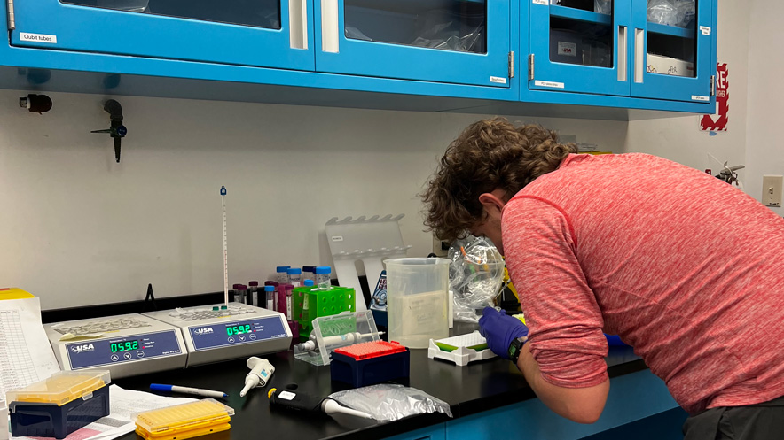 Zachary Zagon leans over a counter with blue gloves, curly hair and a long sleeve, red shirt rolled up to the elbows.  To his left, pipettes sitting horizontally next to lab equipment and test tubes covering the counter. A painted blue cabinet is above him filled with additional materials. His face hidden from view, he meticulously sets up a qPCR plate above a white container. 