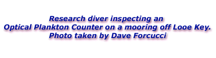 Caption: Research diver inspecting an Optical Plankton Counter on a mooring off Looe Key. Photo taken by Dave Forcucci.