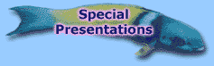 Special Presentations