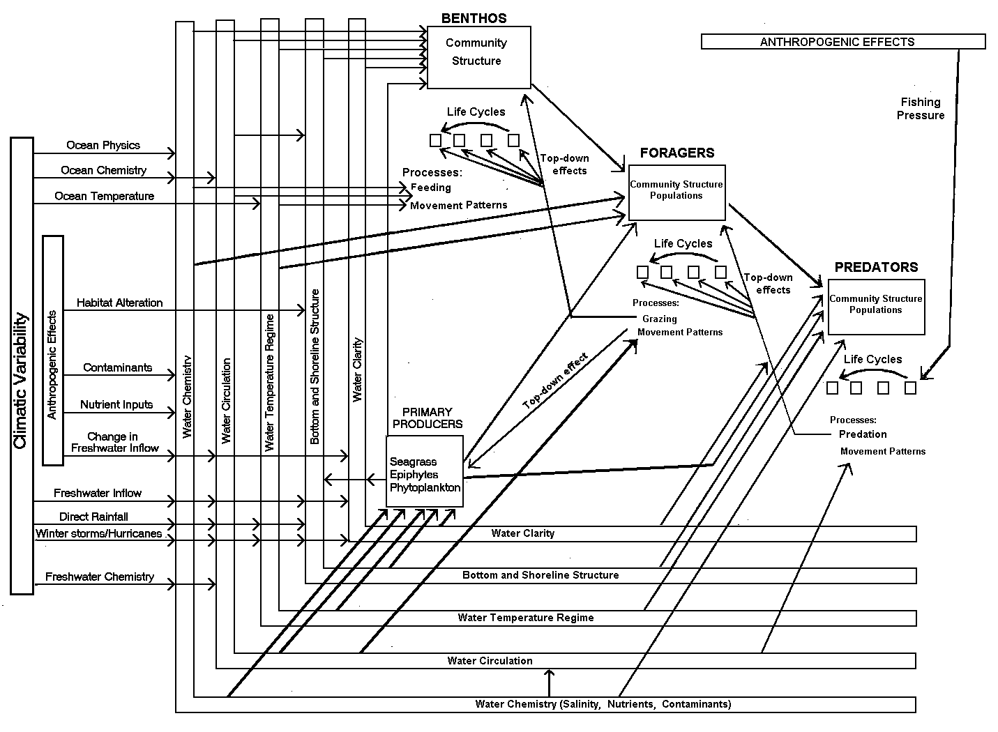 3. Major processes of the higher trophic levels of Florida Bay and major influencing factors.