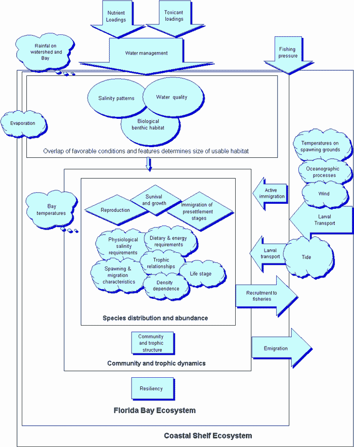 Figure 4. Florida Bay Higher Trophic Levels Strategic Science Conceptual Model.