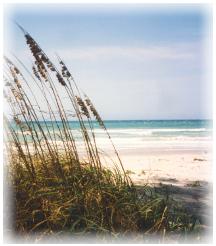 [Choctawhatchee Bay beach view]