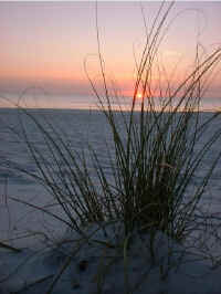 [Sunset over St. Joseph Bay]