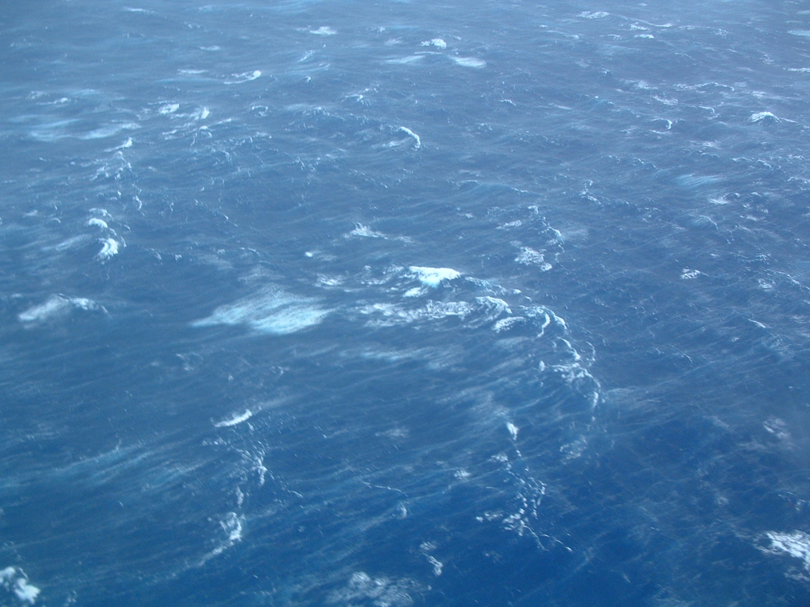 Sea state of Isabel