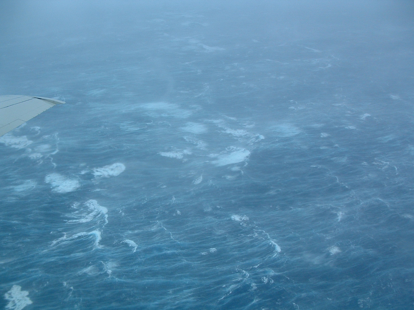 Sea state of Isabel
