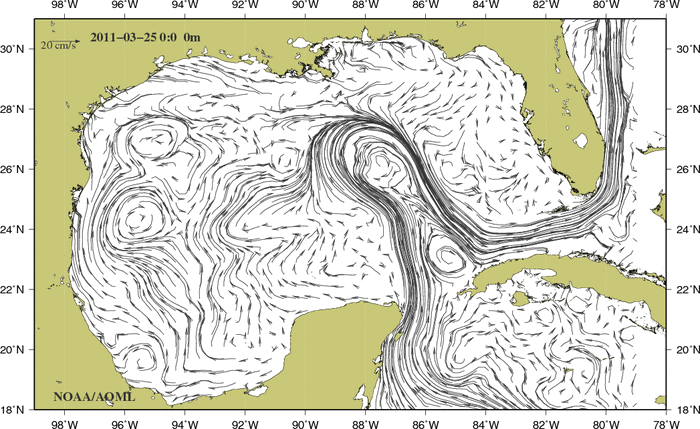 Model output for ocean currents in the GOM