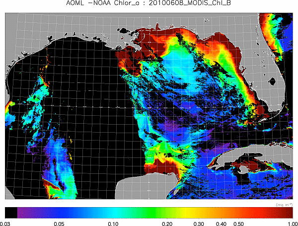 Sea surface color in the Gulf of Mexico