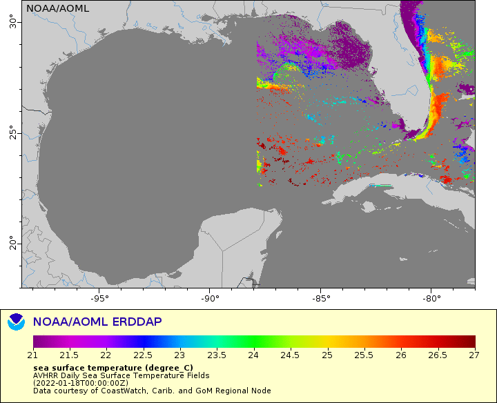 Sea surface temperature in the Gulf of Mexico