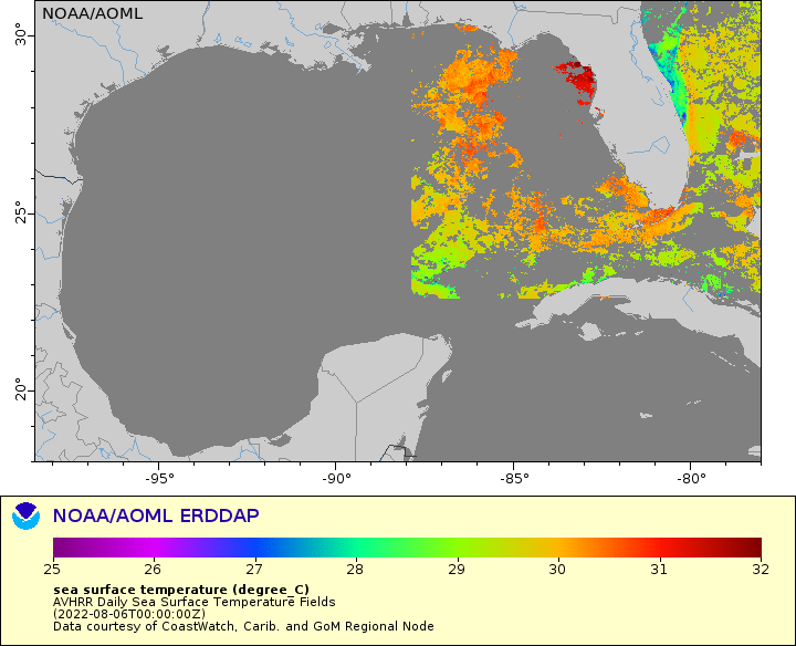 Sea surface temperature in the Gulf of Mexico
