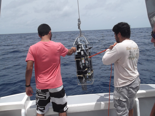 July 2014 - CTD casts have been performed during the campaign to deploy the underwater gliders