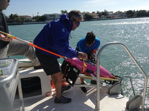March 2014 - members of the Underwater Gliders Working Group practiced deployment and recovery strategies