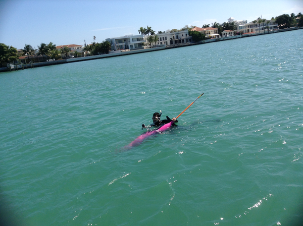 March 2014 - members of the Underwater Gliders Working Group practiced deployment and recovery strategies