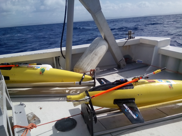 Gliders SG610 and SG609 successfully recovered