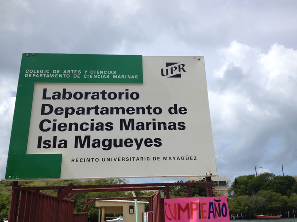 July 2014 - Entrance to the Laboratorio Departamento de Ciencias Marinas Isla Magueyes