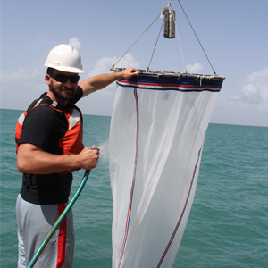 Ian Smith conducting a plankton tow