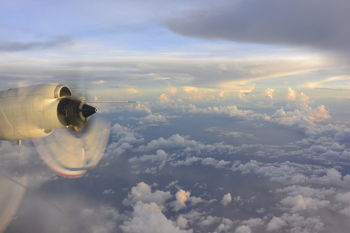 NOAA aircraft flying into TD9 to collect data. Image credit: NOAA