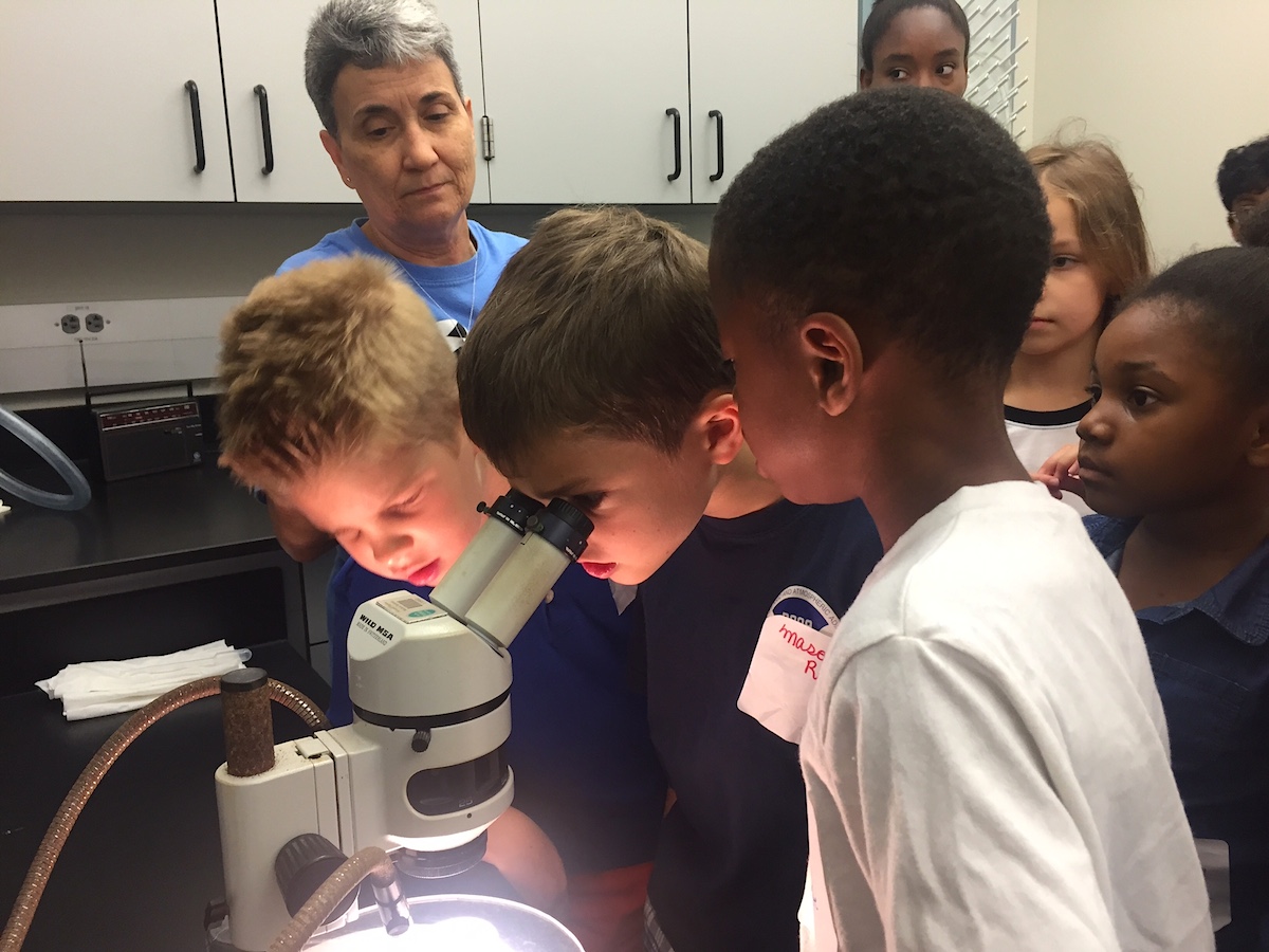 Students observe marine organisms under a microscope in the lab at the MTLSSC building. Image credit: NOAA