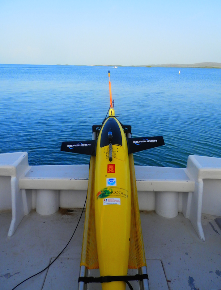 The glider rests on the deck of the R/V La Sultana before deployment. Image credit: NOAA