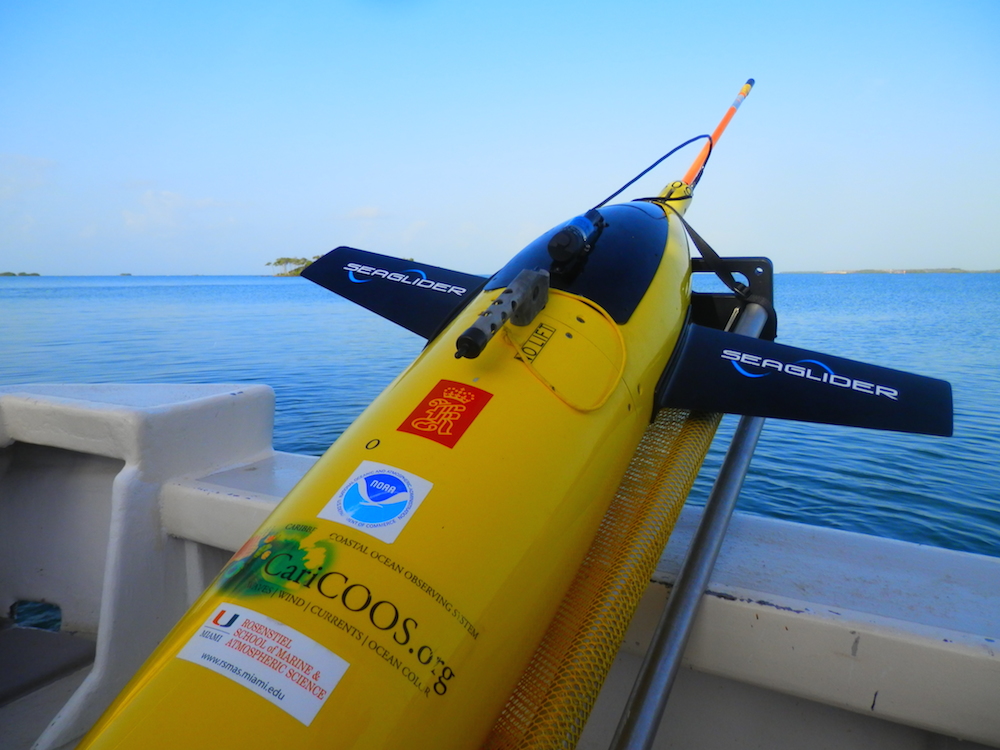 The glider rests on the deck of the R/V La Sultana before deployment. Image credit: NOAA